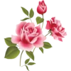 Flowers 3 19
