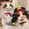 🎄 Gatitos 🐱 13