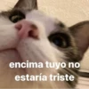 insta coqueto 5