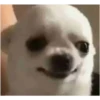 Memes34689 18