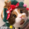 🎄 Gatitos 🐱 16