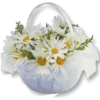 Flowers 3 22