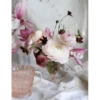 Flowers 11 23