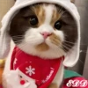 🎄 Gatitos 🐱 19