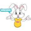 rabbit 12