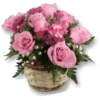 Flowers 3 23