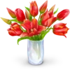 Flowers 3 25