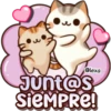 El Gato amigo😻💛🧡 24