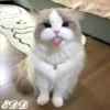 🎄 Gatitos 🐱 23