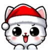 🎅🏻Christmas cat white.🤍🐱 27