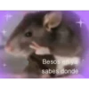 insta coqueto 9