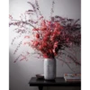 Flowers 11 29