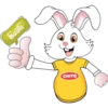 rabbit 15