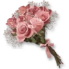 Flowers 3 28
