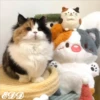 🎄 Gatitos 🐱 29