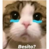 Memes34689 29