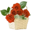 Flowers 3 29