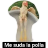 INDIFERENCIA 27