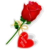 Flowers 3 30