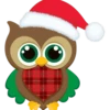 Surtiditos Navideños💞2🇵🇪Clásica 6