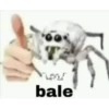 ola 5