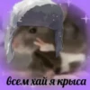 Великий из БродRчих Псов №1 6
