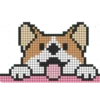Perritos 5