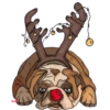 Surtiditos Navideños💞2🇵🇪Clásica 9