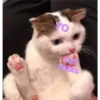 ola 7