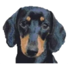 Perritos 8