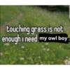 hellooveboss 7