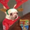 🎄 MeMes NaViDeÑoS 🦌 8