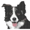 Perritos 11