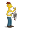 The Simpson 12