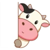 Momo Cow Positive 8