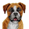 Perritos 14