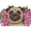 Perritos 15