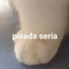 De todo un poco :D 6