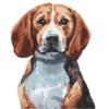 Perritos 16