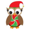 Surtiditos Navideños💞2🇵🇪Clásica 20