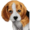 Perritos 18
