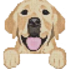 Perritos 20