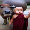 Baby tiernos֍1🇲🇽Clásica 14