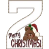 LeTrAs ♡ ChRiStMaS 13