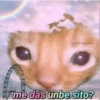 ola 10