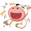 Momo Cow Positive 12
