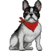 Perritos 21