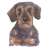 Perritos 22