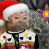 🎄 MeMes NaViDeÑoS 🦌 14