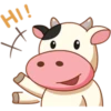 Momo Cow Positive 13